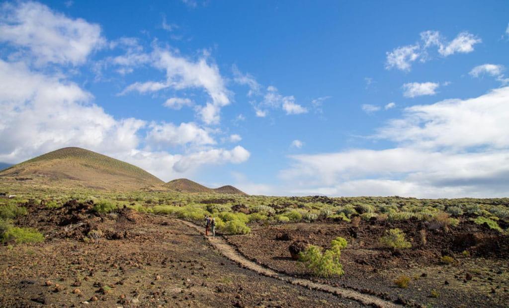 Las Palmeras Puertito de Guimar Εξωτερικό φωτογραφία